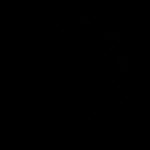 Meet your Posher, Hamlet